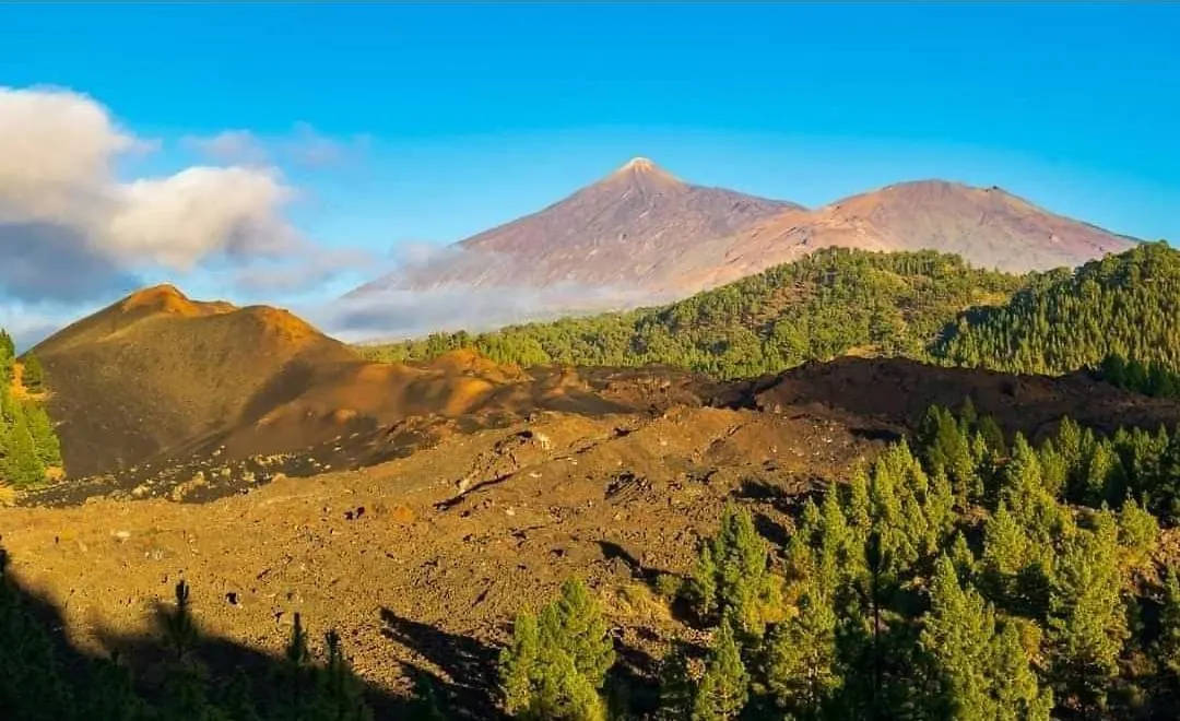 El Arado De Paco Villa Santiago Del Teide
