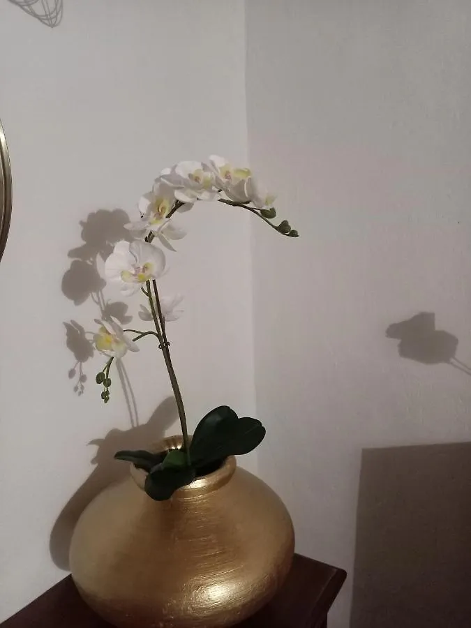 Holiday home El Arado De Paco Villa Santiago Del Teide